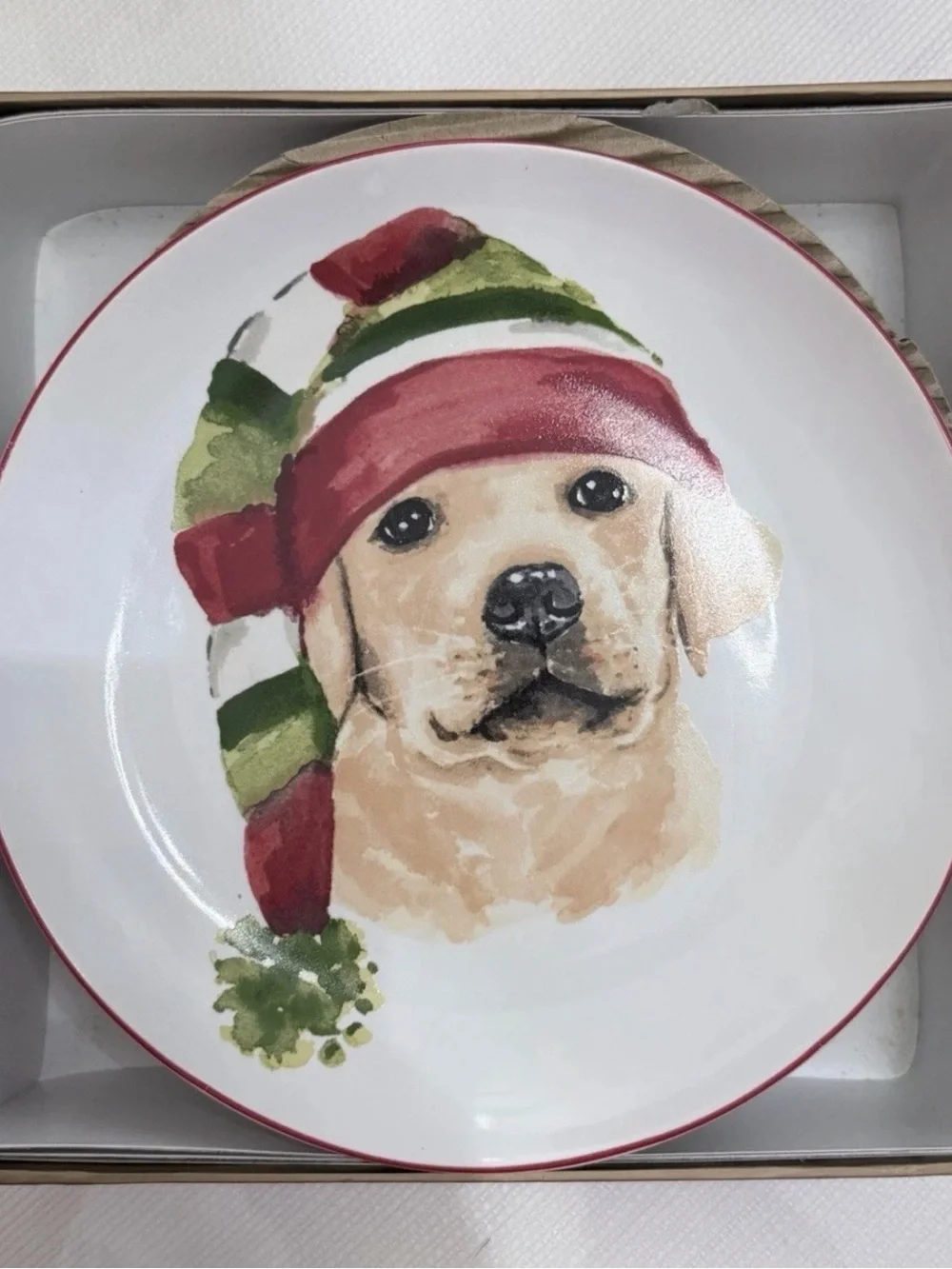 Pier 1 Holiday Dog Ceramic Salad Plates - Red & Green Accents